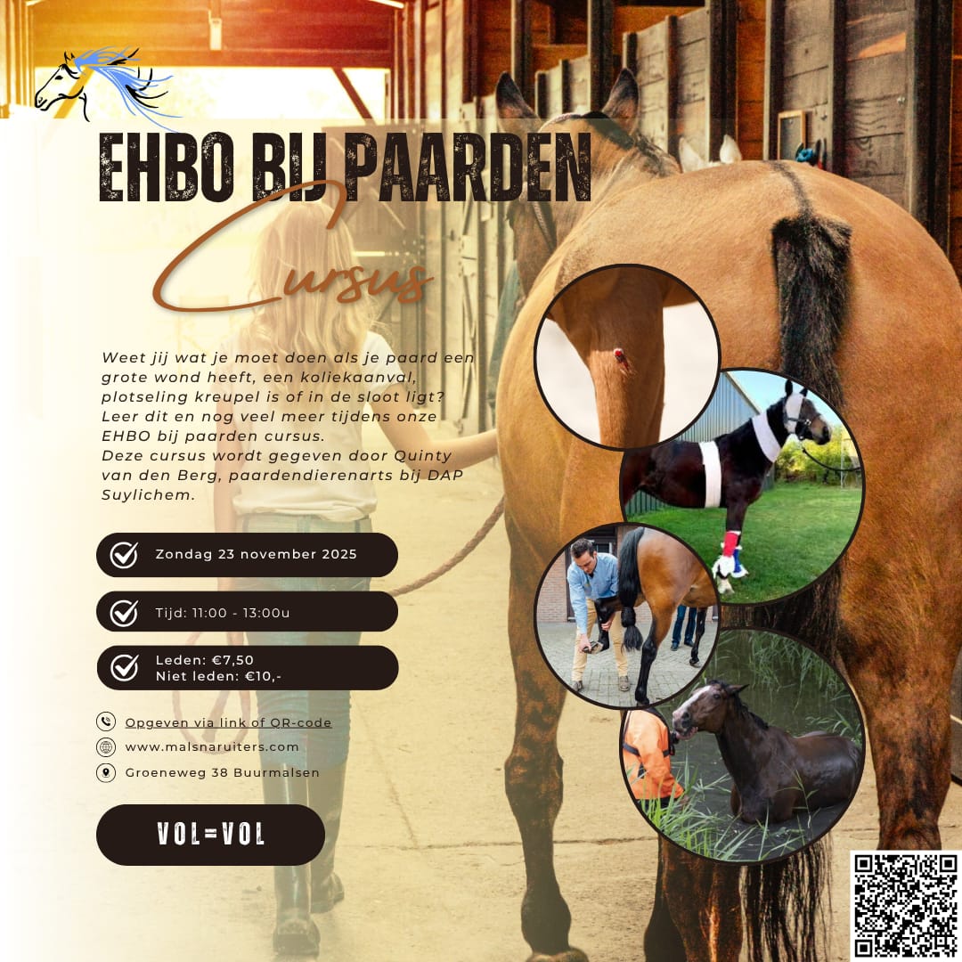 EHBO bij paarden
