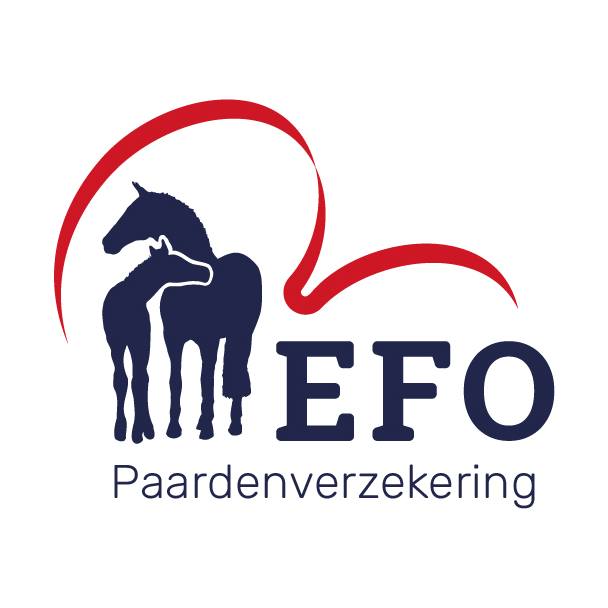 306777705_7977982912273473_2032626003328847383_n